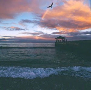 Meet your Posher, Antonio